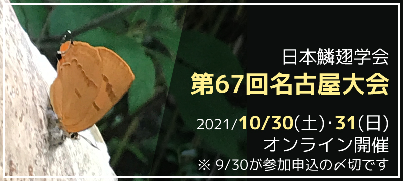 日本鱗翅学会 第67回名古屋大会　2021年10月30日(土)・31日(日)　オンライン開催