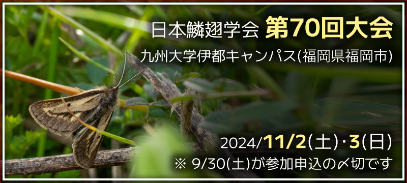 日本鱗翅学会 第70回大会(福岡)　2024年11月2日の土曜日と3日の日曜日　9月30日が参加申込の〆切です。
